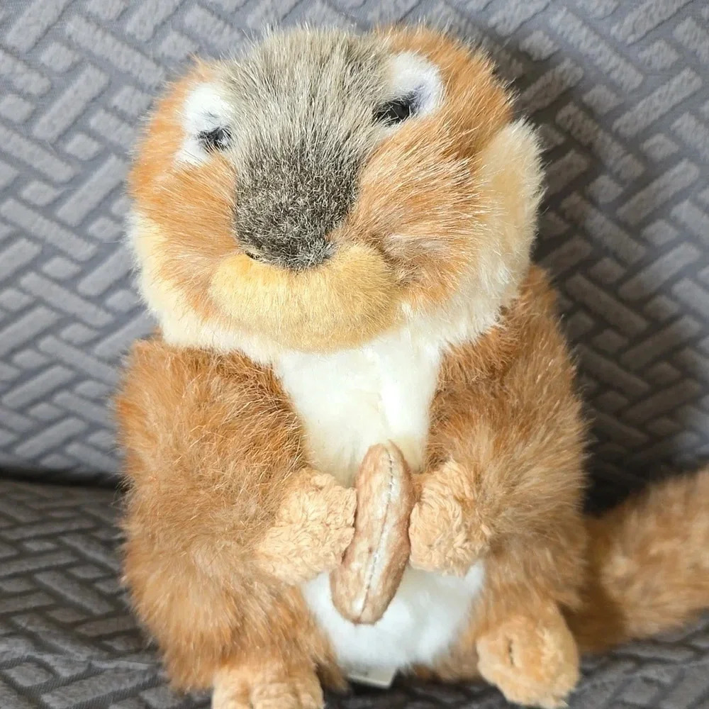 HP! 🎊 Squirrel Plushie NWOT - Picture 2 of 5